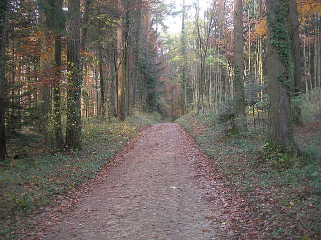 Prima  dell�era  glaciale